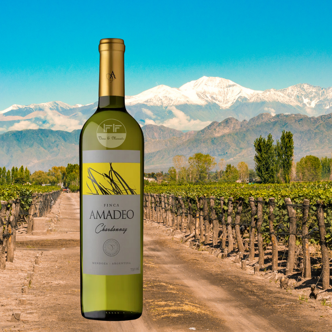 AMADEO CHARDONNAY