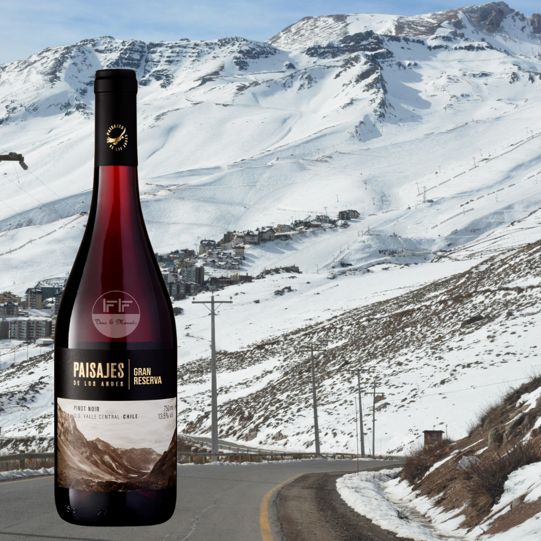 PAISAJES DE LOS ANDES GRAND RESERVA PINOT NOIR