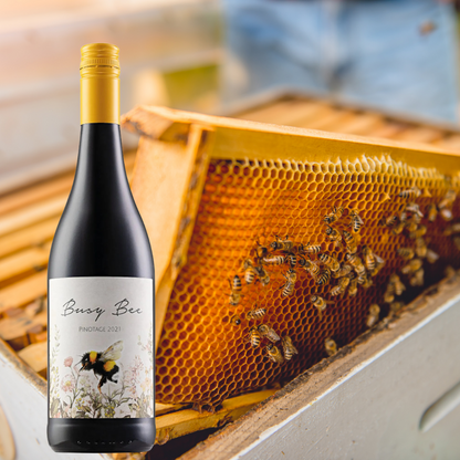 Busy Bee  - Pinotage 2021