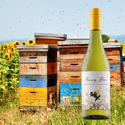 Busy Bee - Chenin Blanc - 2022